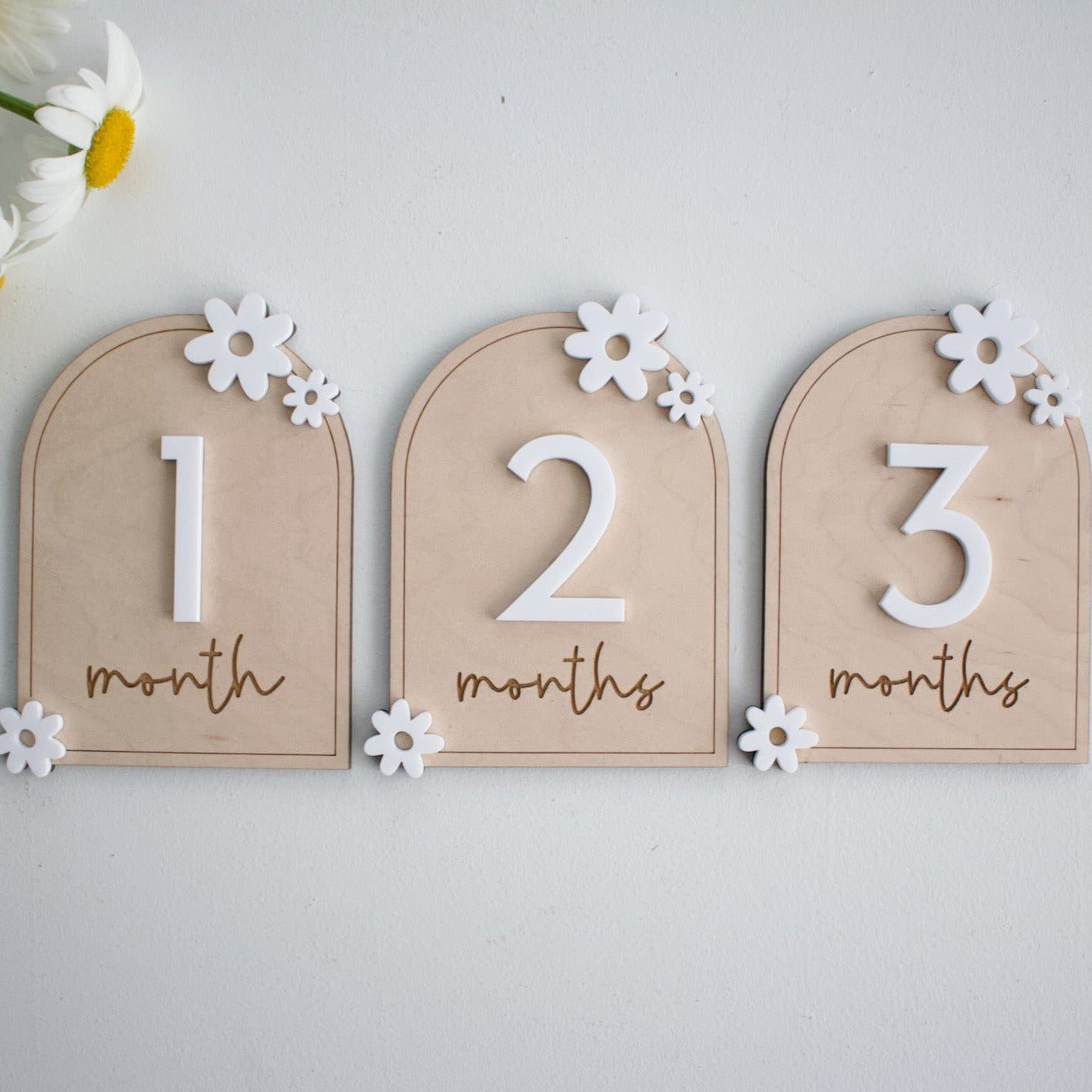 Daisy Milestones